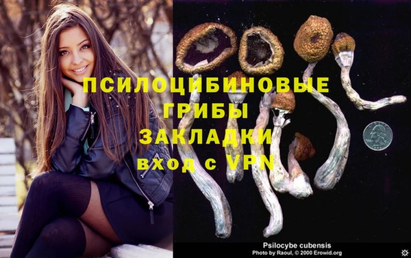 COCAINE Ладушкин